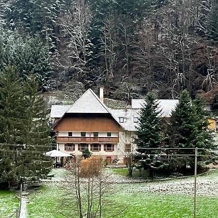 Geraeumige Wohnung Im Schwarzwald Seelbach  Ngoại thất bức ảnh