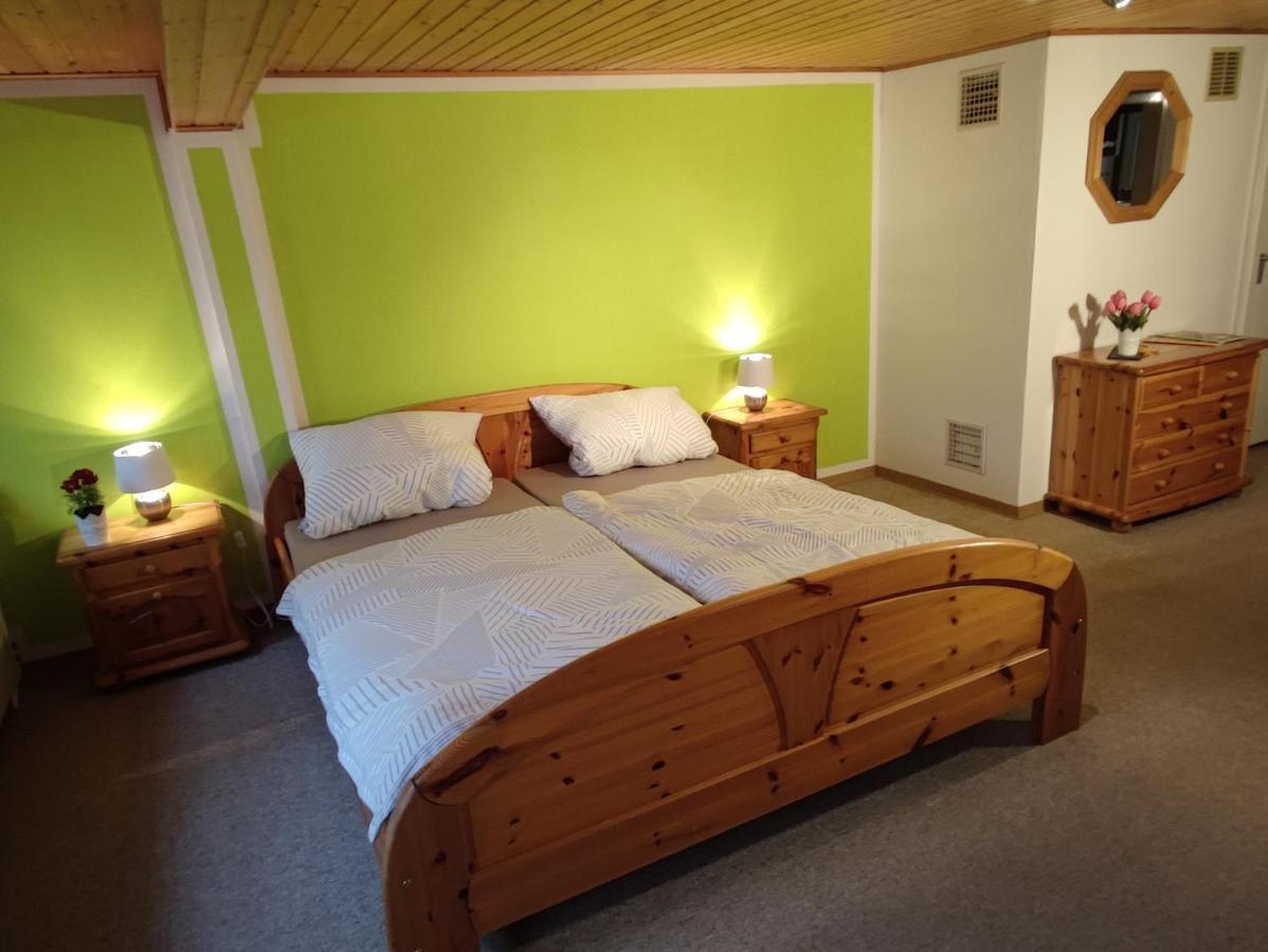 Geraeumige Wohnung Im Schwarzwald Seelbach  Ngoại thất bức ảnh