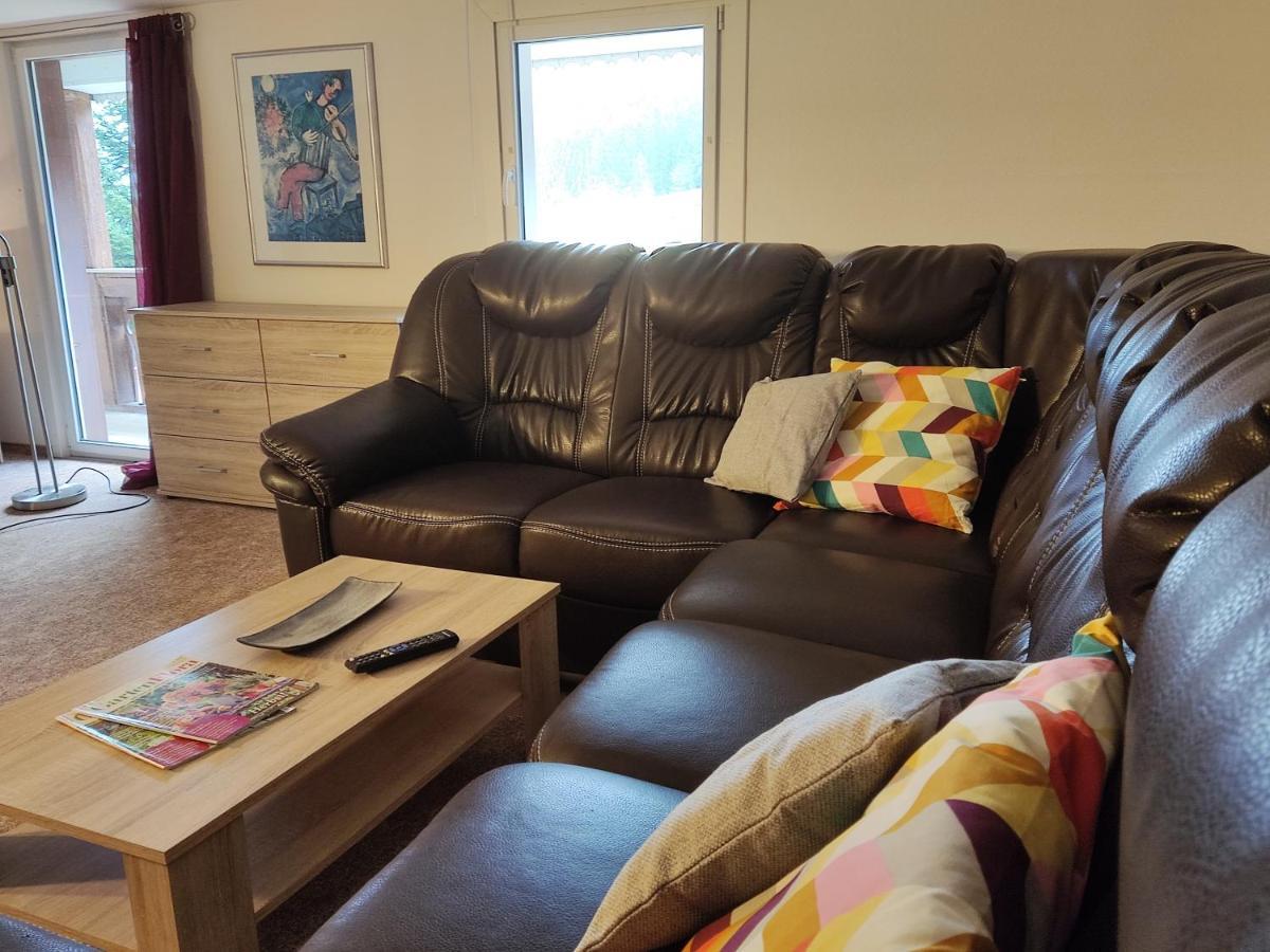 Geraeumige Wohnung Im Schwarzwald Seelbach  Ngoại thất bức ảnh
