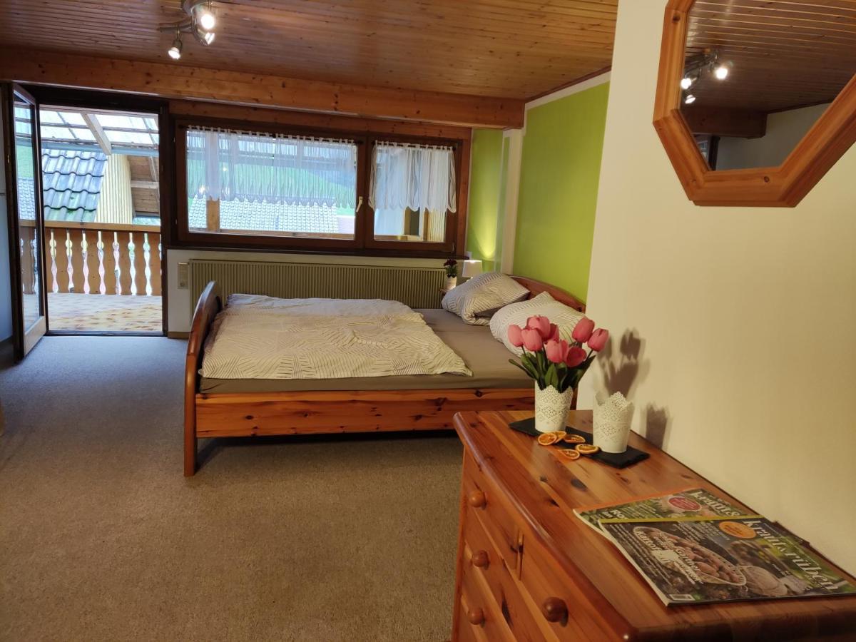 Geraeumige Wohnung Im Schwarzwald Seelbach  Ngoại thất bức ảnh